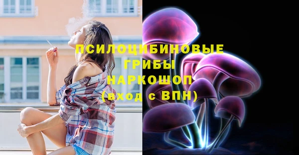 дживик Михайловск