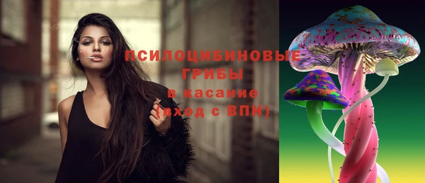 дживик Михайлов