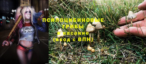 дживик Михайлов