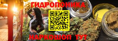 дживик Балахна