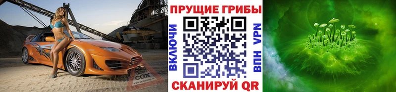 где найти наркотики  дарк нет наркотические препараты  Галлюциногенные грибы мухоморы  Белореченск 
