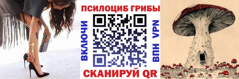 Псилоцибиновые грибы Cubensis Белореченск