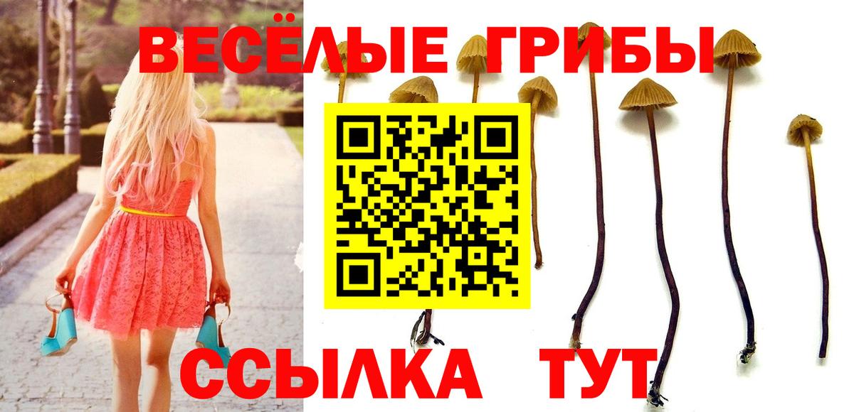 Галлюциногенные грибы Psilocybe  Белореченск  Галлюциногенные грибы Magic Shrooms 