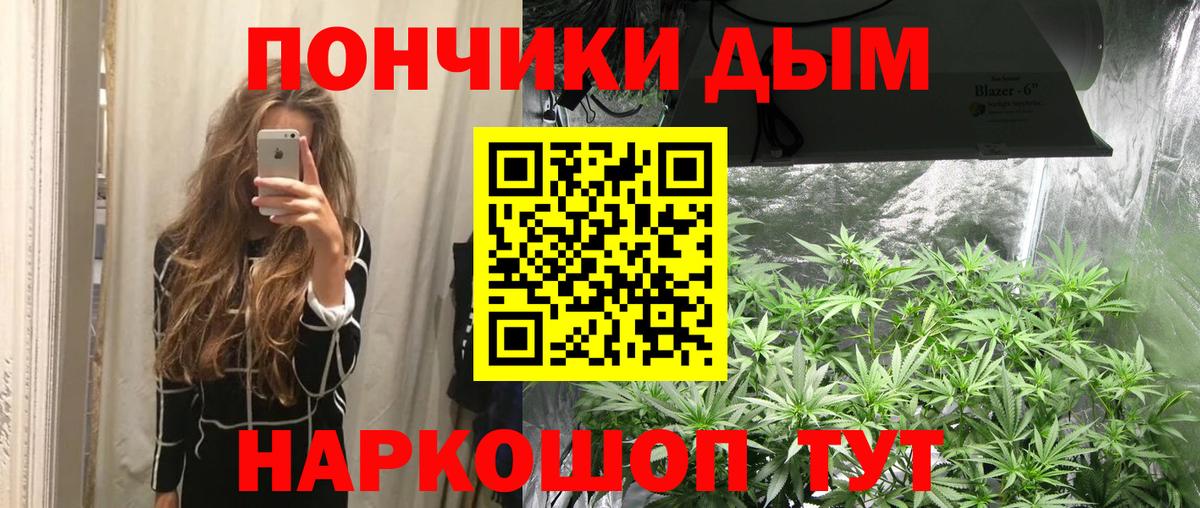 Шишки марихуана Bruce Banner  Бошки Шишки планчик  Белореченск  МАРИХУАНА сатива  МАРИХУАНА OG Kush  Вход с VPN 